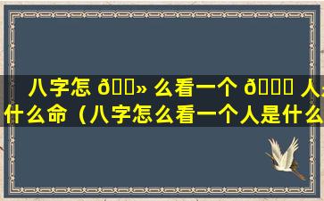 八字怎 🌻 么看一个 🐝 人是什么命（八字怎么看一个人是什么命格）